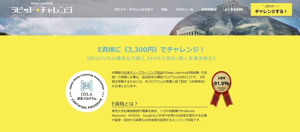 ラビットチャレンジ